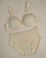 ست شورت و سوتین کبریتی هارنس دار