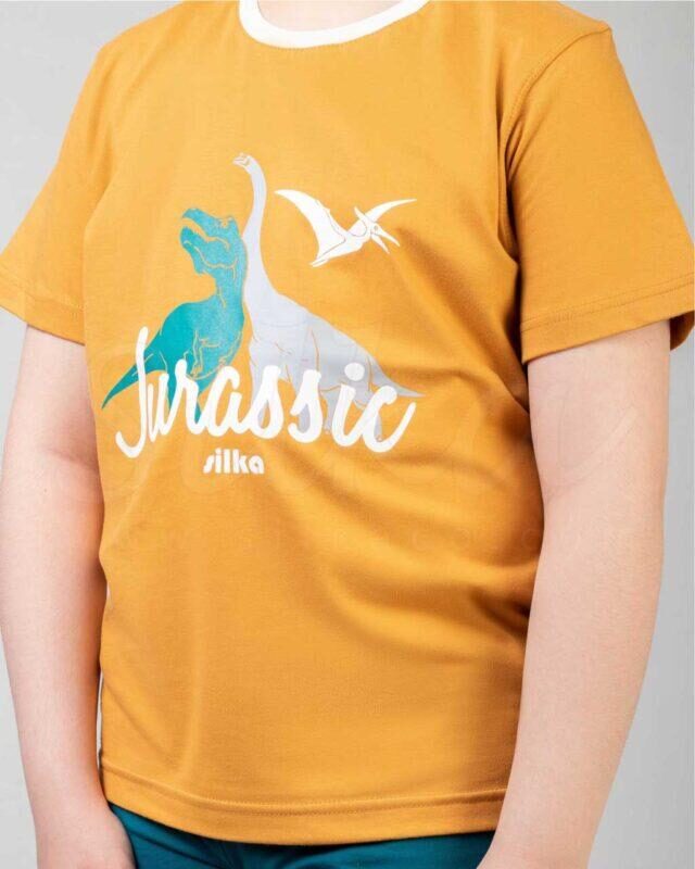 ست راحتی طرح jurassic