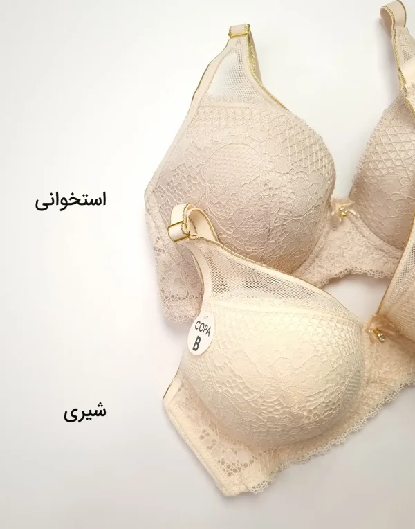 سوتین دانتل اسفنجی زنانه لین